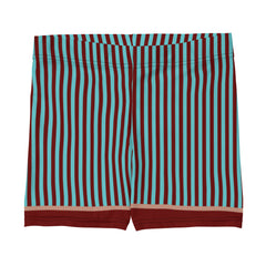 RedBlossom Blue Stripes Shorts